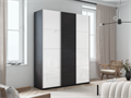 Универсальный шкаф-купе "Прайм" 3-х дверный Е1 1994499876