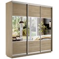 Универсальный шкаф-купе "Экспресс" 3-х дверный, многоразмерный  Е1 1878759999
