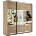 Универсальный шкаф-купе "Экспресс" 3-х дверный, многоразмерный  Е1 1878759999