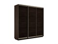 Универсальный шкаф-купе "Экспресс" 3-х дверный, многоразмерный  Е1 1878759999