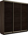 Универсальный шкаф-купе "Экспресс" 3-х дверный, многоразмерный  Е1 1878759999