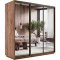 Универсальный шкаф-купе "Экспресс" 3-х дверный, многоразмерный  Е1 1878759999