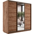 Универсальный шкаф-купе "Экспресс" 3-х дверный, многоразмерный  Е1 1878759999