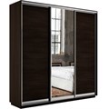Универсальный шкаф-купе "Экспресс" 3-х дверный, многоразмерный  Е1 1878759999