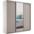 Универсальный шкаф-купе "Экспресс" 3-х дверный, многоразмерный  Е1 1878759999