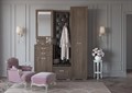 Модульная прихожая "Эйми" Композиция 2 Сантан 1652339132