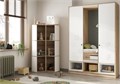 Шкаф 3-х створчатый с зеркалом Киви ШК-03 Стенд Мебель 15893